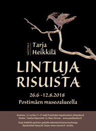 Lintuja koivurisuista